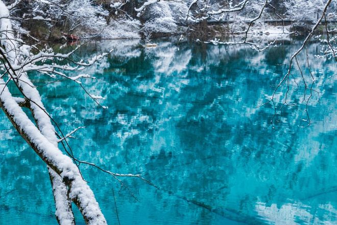 力榜发布！四川全域旅游选社指南出炉不朽情缘版2025四川旅行社综合实(图4)