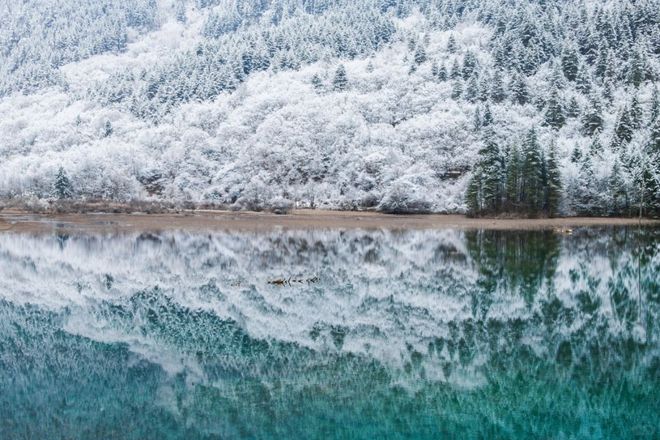 力榜发布！四川全域旅游选社指南出炉不朽情缘版2025四川旅行社综合实(图3)